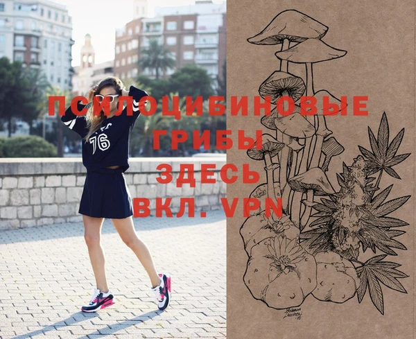 соль ск Майский