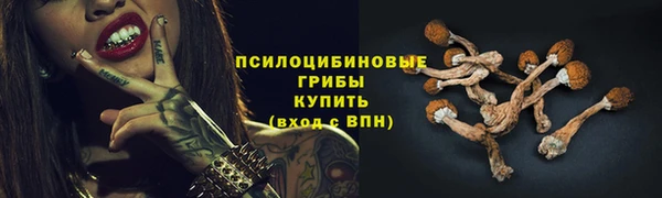 СК Магас