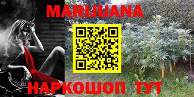 кокс Кингисепп
