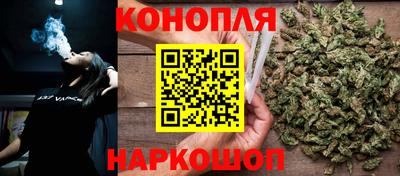 кокс Кингисепп