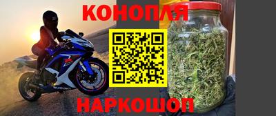 кокс Кингисепп