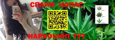 кокс Кингисепп