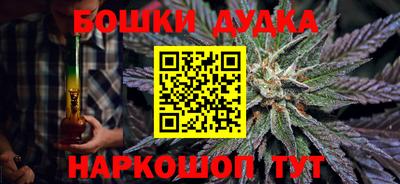 кокс Кингисепп
