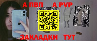 кокс Кингисепп