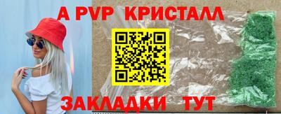 кокс Кингисепп