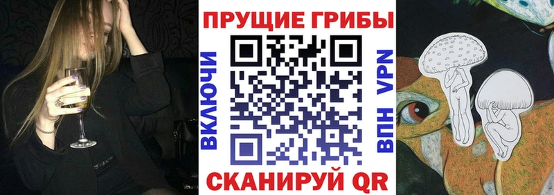 закладка  Черняховск  kraken tor  Псилоцибиновые грибы мухоморы 
