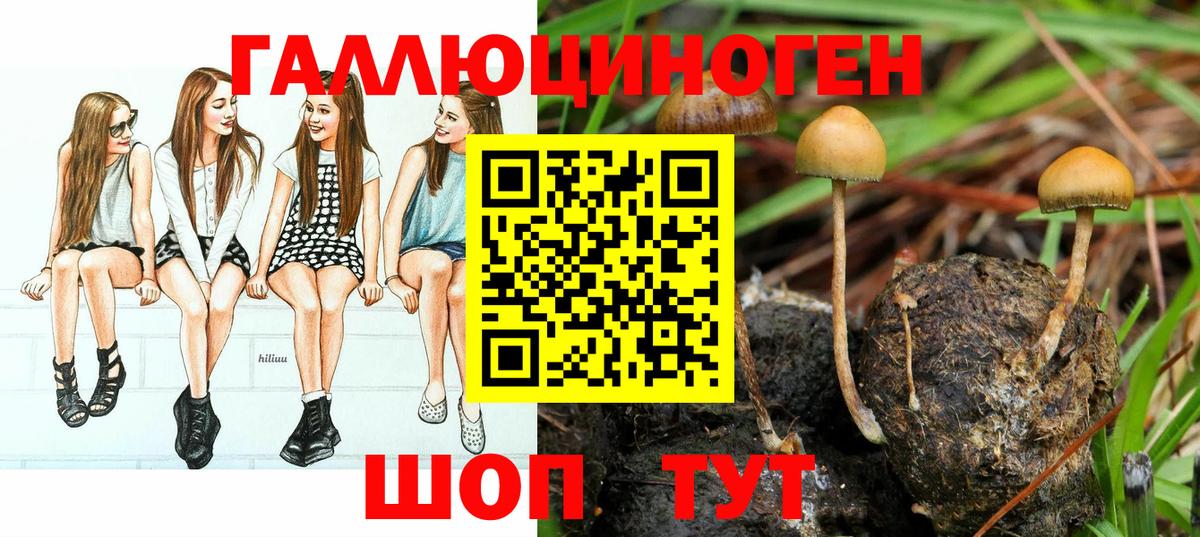 Галлюциногенные грибы Cubensis  Вход с VPN  Черняховск 