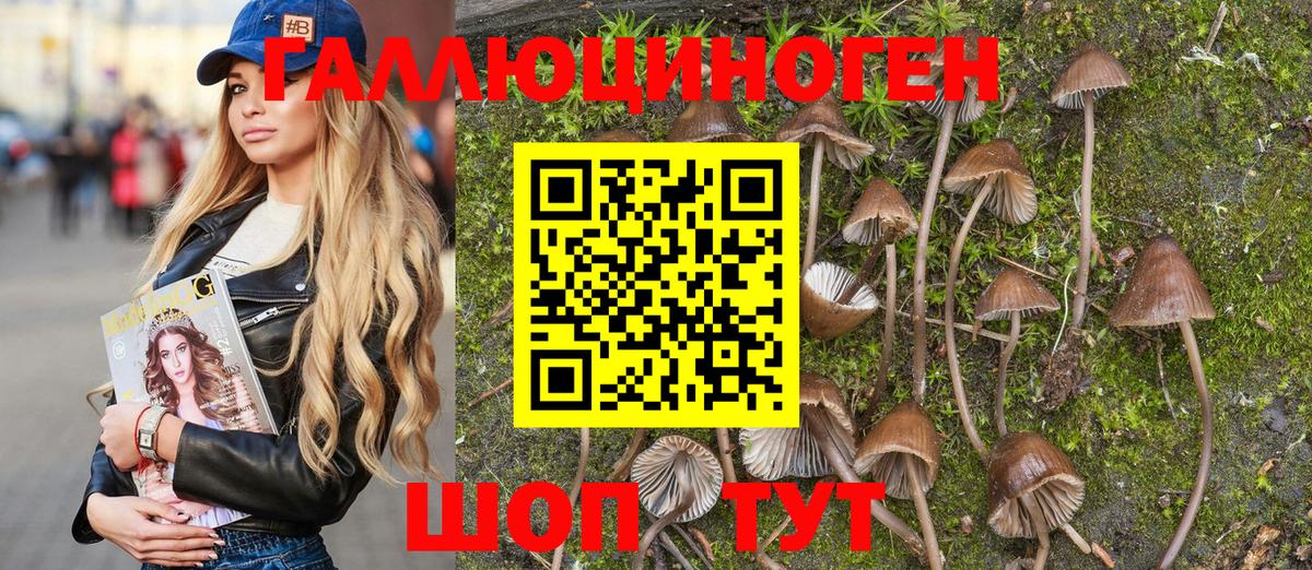 Галлюциногенные грибы мицелий  Черняховск  Псилоцибиновые грибы мицелий 